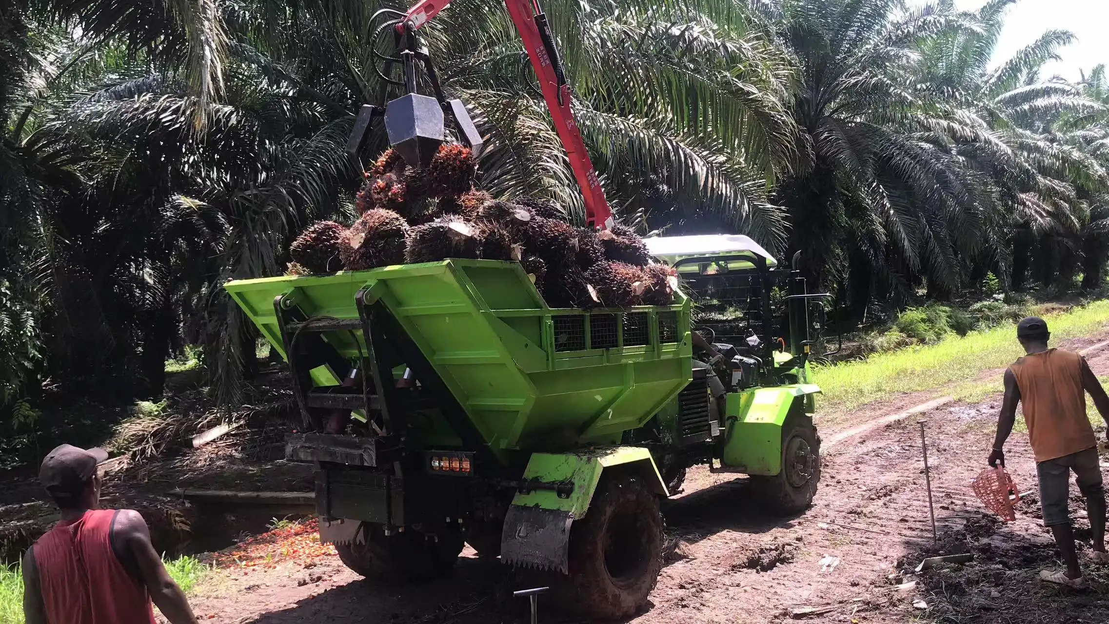 best quality 50hp 4x4 mini farming lawn garden foton 354 tractor farm tractor dealers