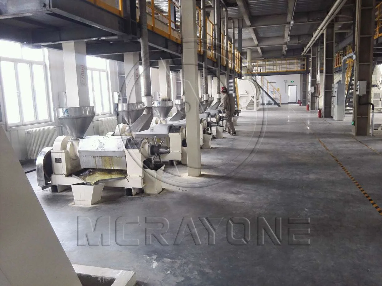 Automatic Grease Production Machine for Oil Extraction Line for Peanut and Rapeseed Oil New Condition