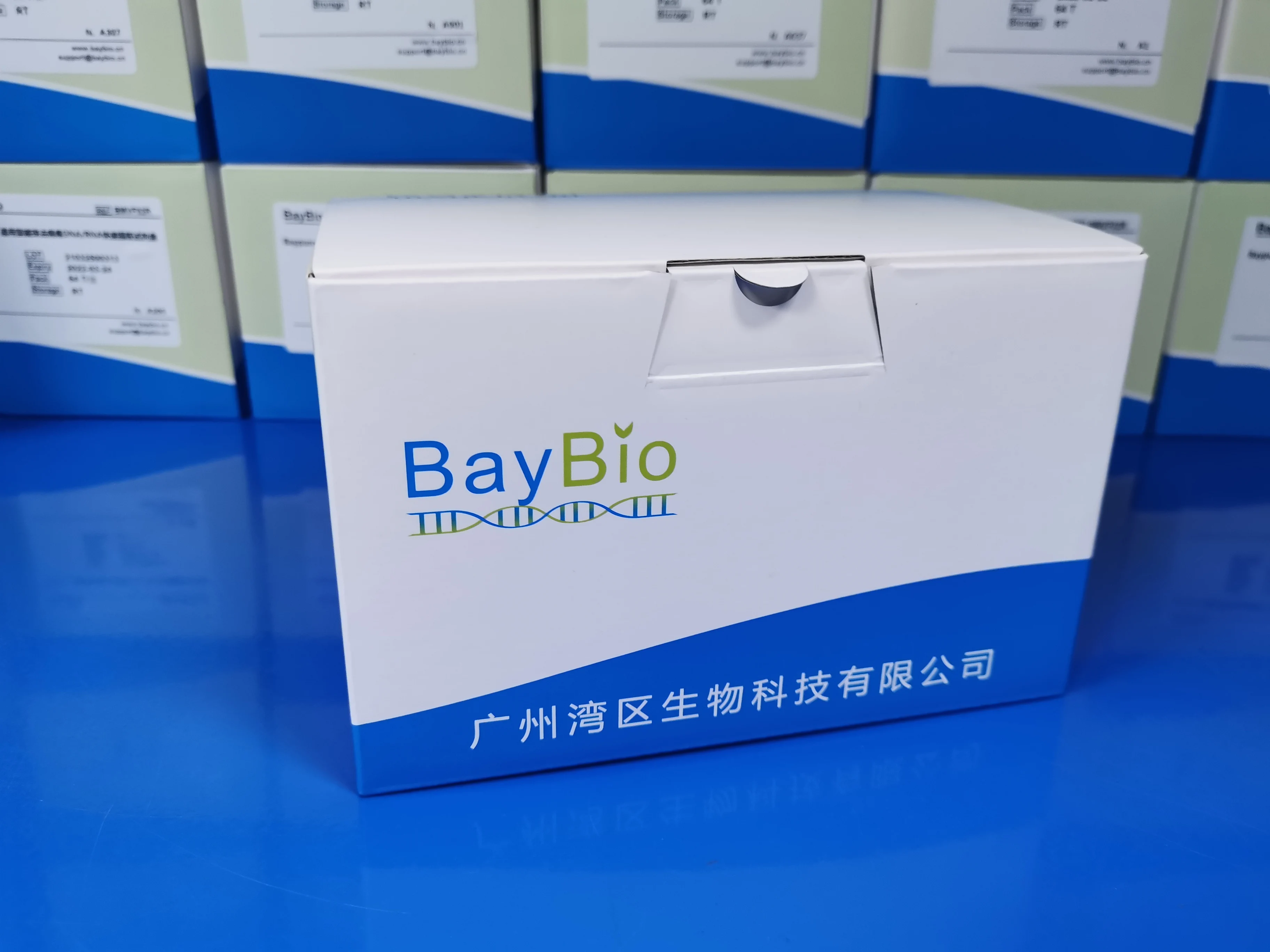 
Baypure Magnetic Baybio universal Genomic DNA isolation kit Southeast Asia market high quality 