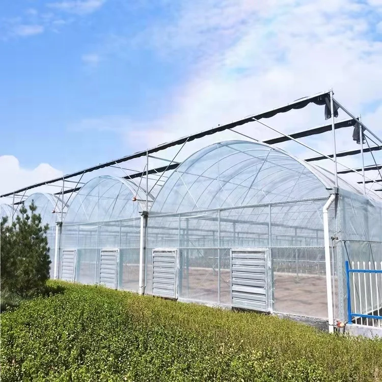 Polycarbonate Greenhouses with Agriculture Equipment and Tools for Agricultural Crops planting