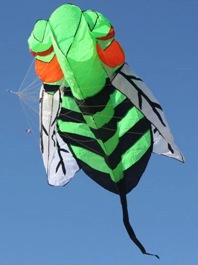 Large Inflatable Kite for Exciting Outdoor Adventures   Lightweight Design
