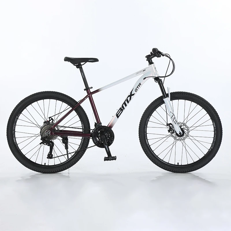 China Supplier 27 Speed Aluminium Bicicleta Down Hill Bicycle 24 26 27.5 29 inch Adult Cycle Mountain Bike for Men