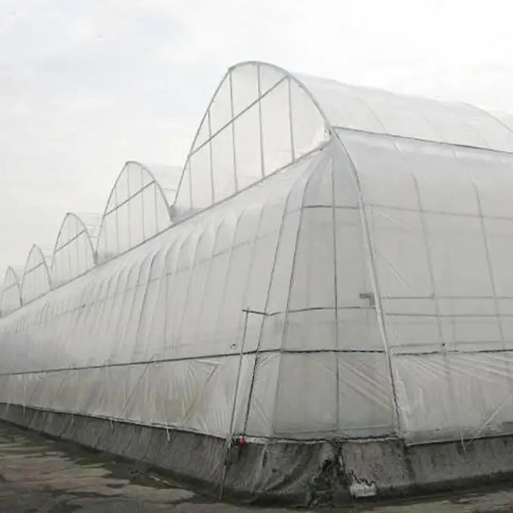 200 micron greenhouse film Pe Clear Plastic Film Roll/100% virgin LDPE greenhouse covering film for covering roof