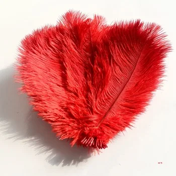 Wholesale High quality Cheap red bulk large ostrich feather