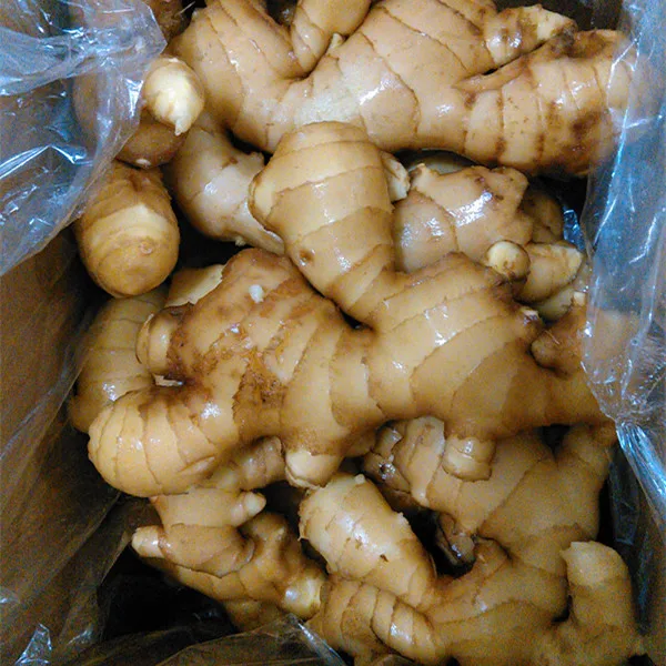 fresh  ginger price from China