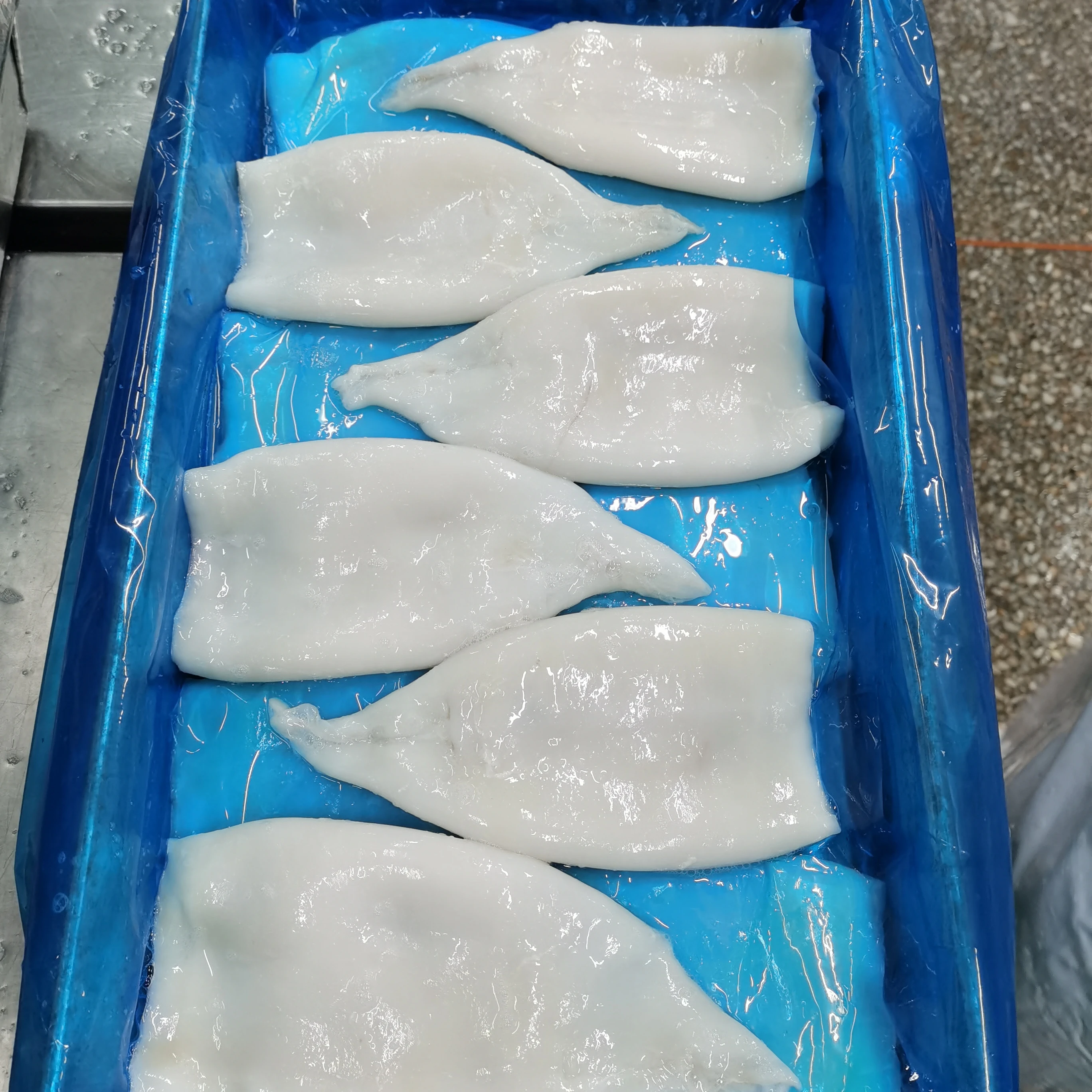 
Frozen seafood layered packaging peru giant squid tube 
