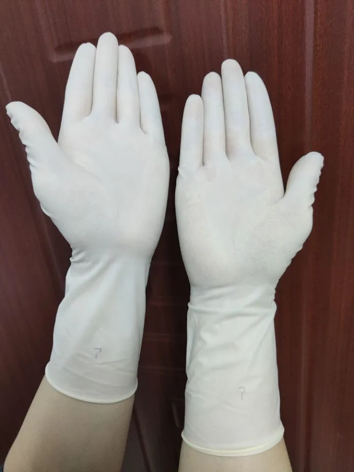 
Single-use sterile rubber surgical gloves 