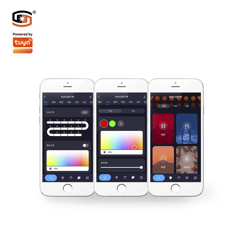 Wi-Fi Smart Controller Connect Magical Rope RGBIC Tape Lights Hotel SaaS SMD DC12V 5M Led Strip Light