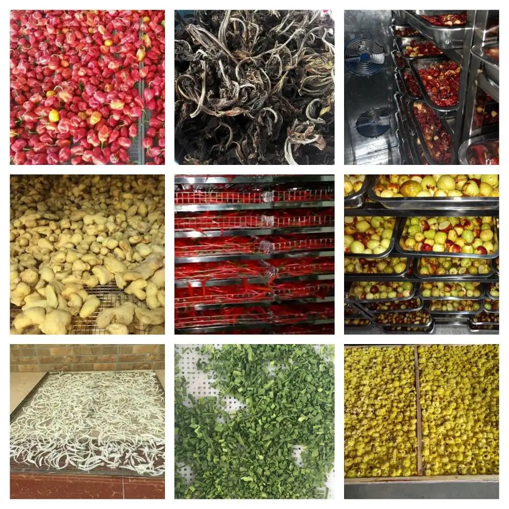 High Efficient Sawdust Flash Drier Dryer Rice Fish Drying Oven for Sale