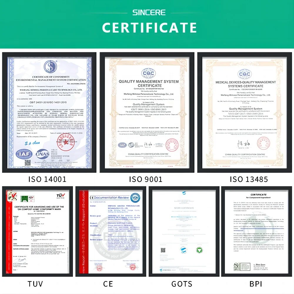 New Design Environmental Protection safe Feminine health Natural corn fiber Daily panty liner