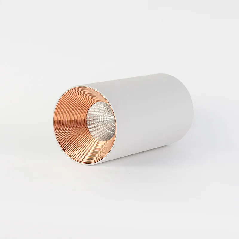 LED Ceiling Downlight 10W Modern Design Ceiling Spotlight For Home Hotel Decoration Ceiling Mounted LED Downlight Fixtures