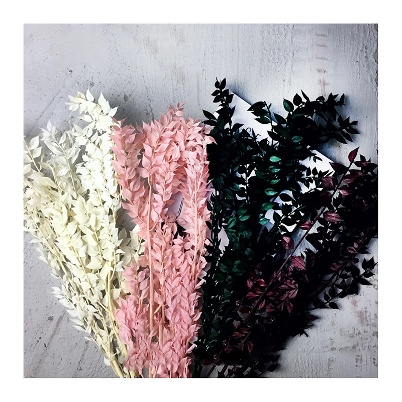 Yunnan Concise style Natural green flower Preserved Ruscus leaves for home decoration