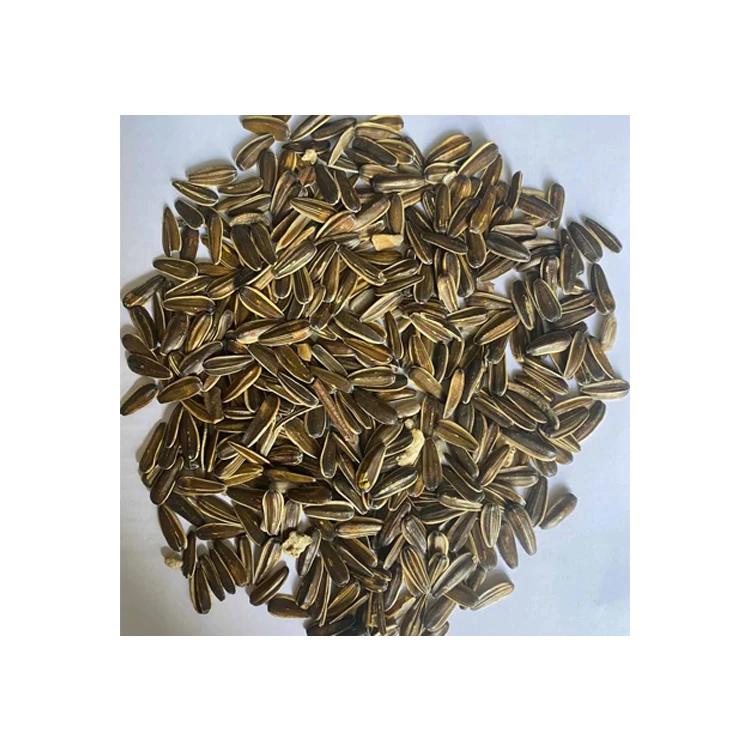 Mix Striped Sunflower Seeds Packaging Bulgarian Origin Wholesale Big Bags Raw Natural 2021 Small Size Sunflower Kernel 12 Months