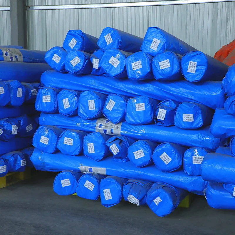 Hot Selling Waterproof Pe Tarpaulin Waterproof Suitable for a Variety of Occasions