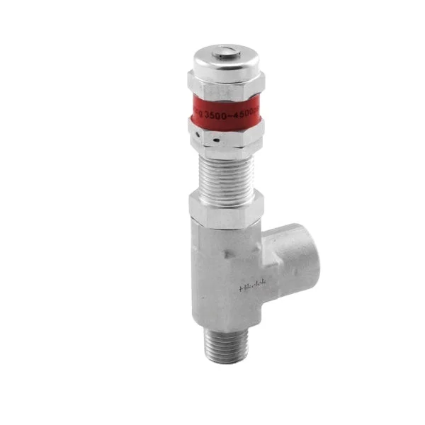 Parker type Hikelok manufacturer  supplier 6000 psi 3/8  NPT stainless steel high pressure safety relief valve