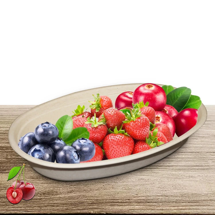 Fruit Salad Food Paper Soup Sugarcane Compostable Biodegradable Bagasse Disposable Bowl