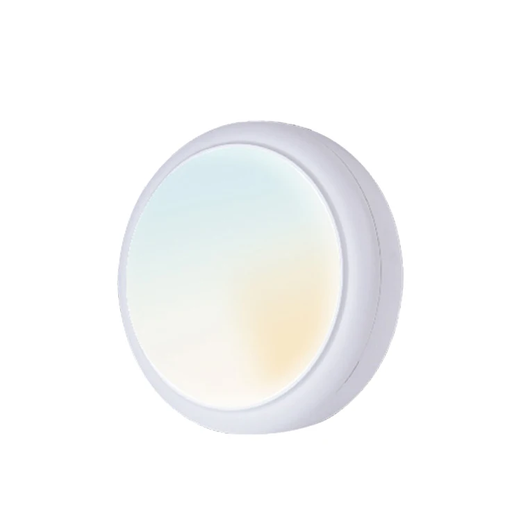 15W CCT Adjustable IP65 Waterproof Wall Lamp Outdoor LED Bulkhead Light