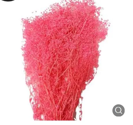 Консервированный белый миллион звезд сушеный цветок Babysbreath