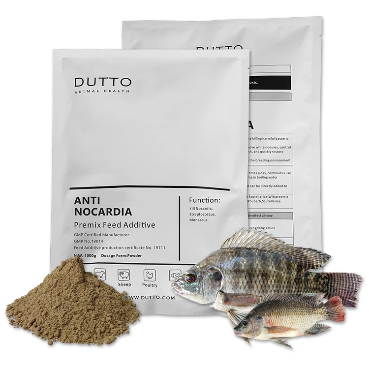 african farming catfish for white spot on fish