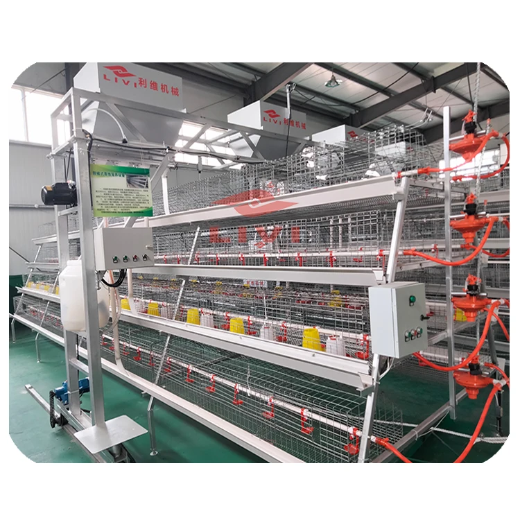 A type Automatic Baby Chicken Cage for Day Old Layer Chicks Pullet cage