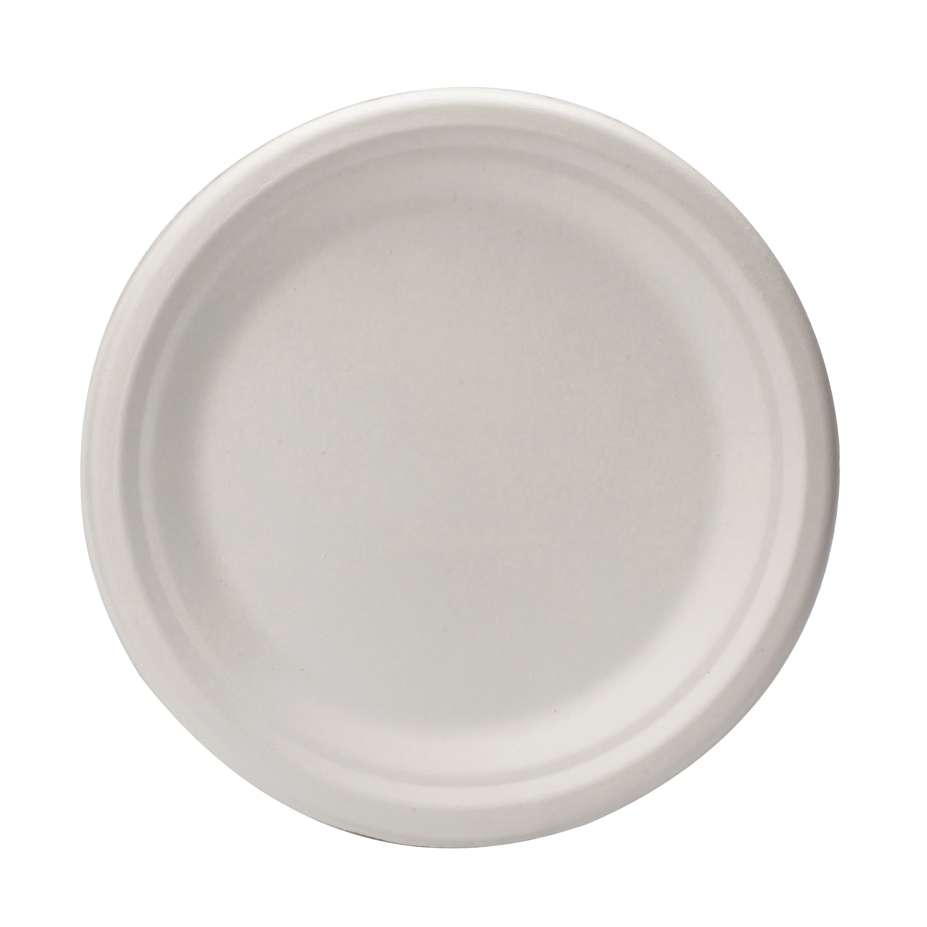 Customized Bio Degradable Disposable Sugarcane Bagasse Paper Pulp 10 inch Round Plates For Party