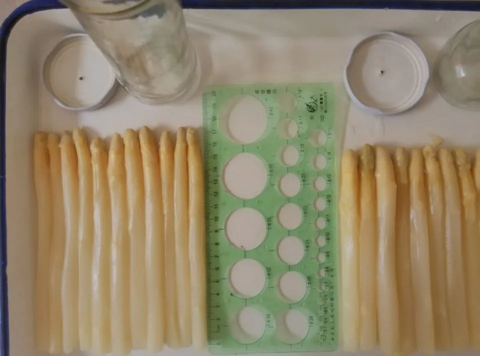 Canned White Asprargus Organic Tinned/Glass Jar Vegetables Wholesale