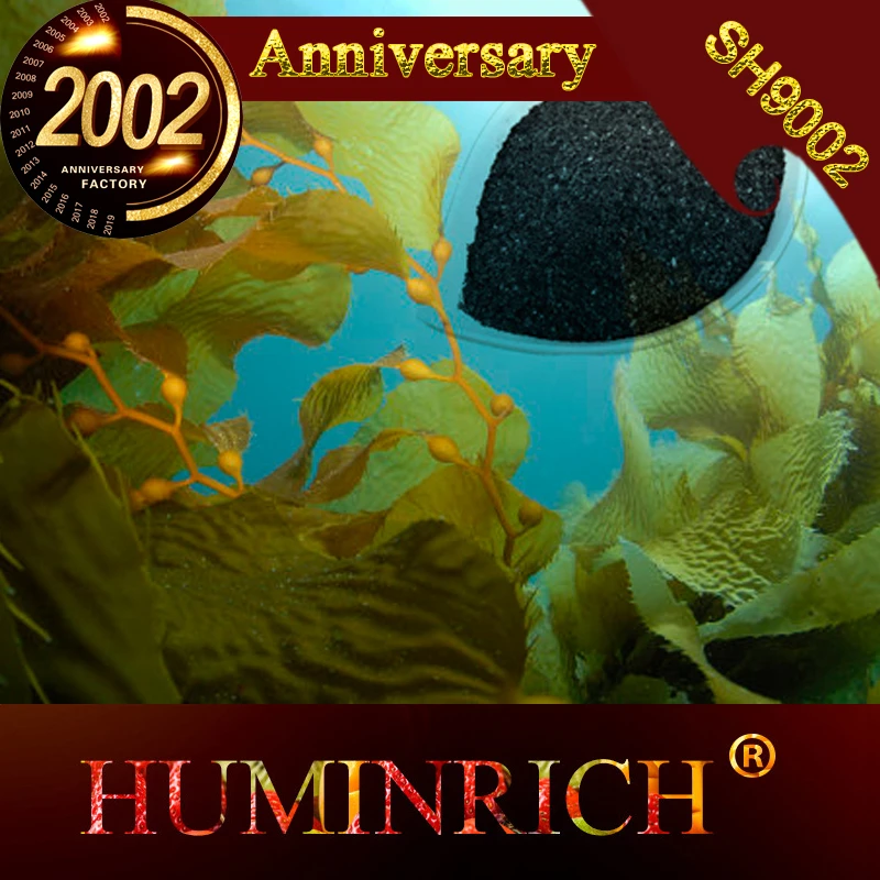 «HuminRich Seplus» натуральный аскофиллум Nodosum 100% растворимый в воде экстракт порошка морских водорослей