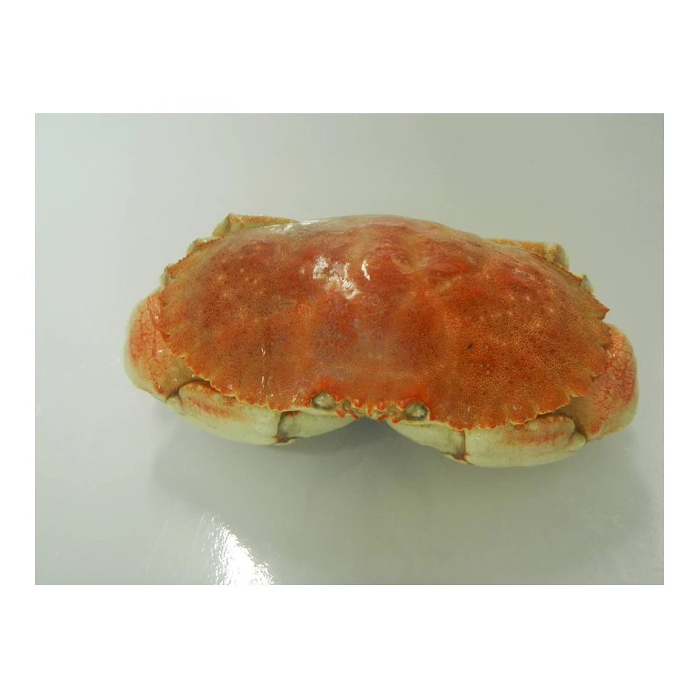 
now available cheap price jonah claws seafood live crab 