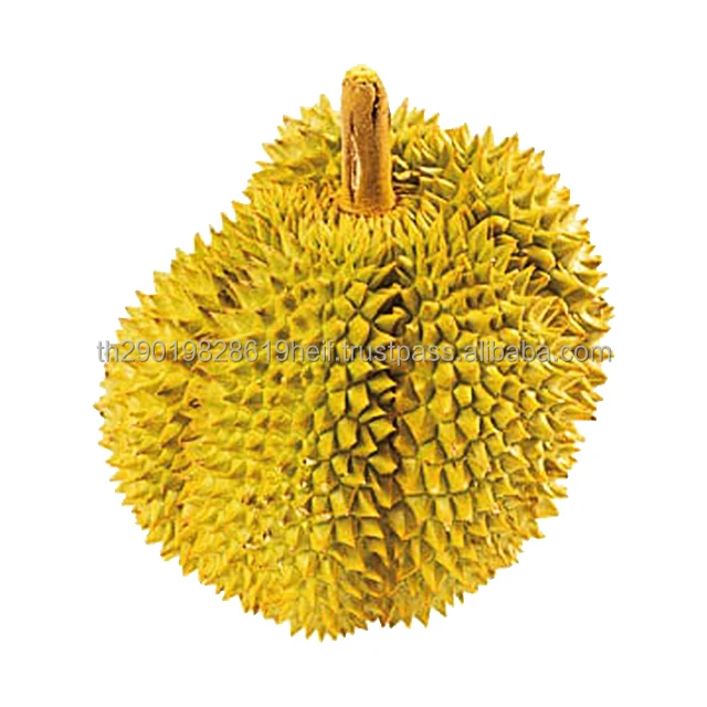 Mr. Number One Brand Frozen Durian Mornthong Whole 12 Kg Product Wholesale From Thailand