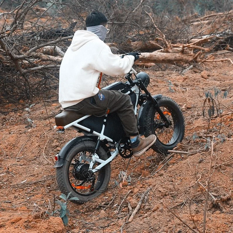 Motorcycle Electric Moped
