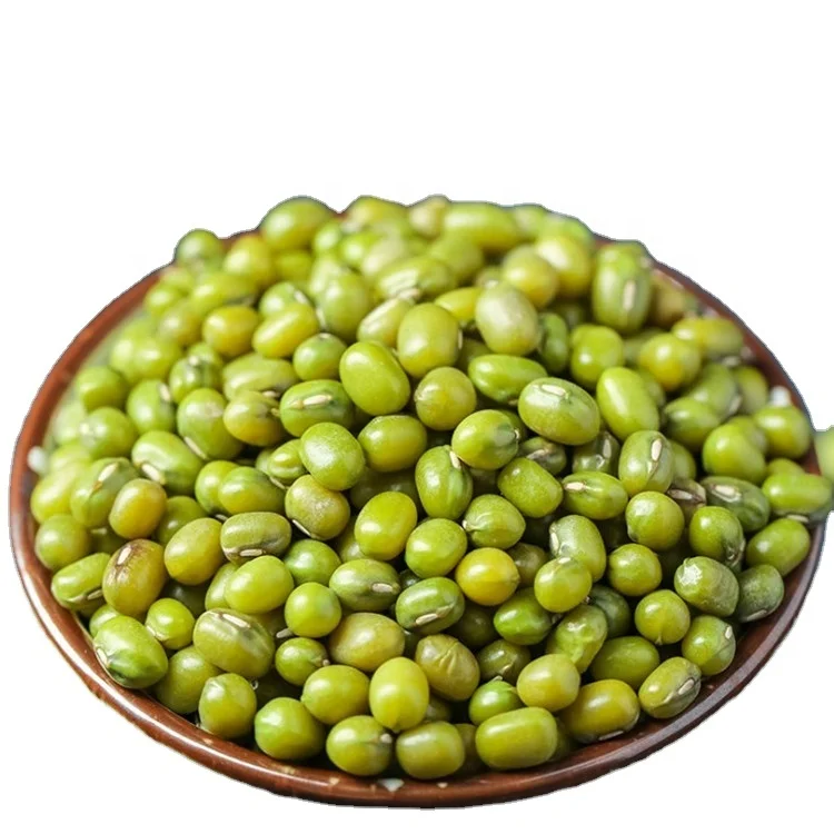 
Green mung beans sprouted mung bean high sprouting grade for Vietnam wholesale 