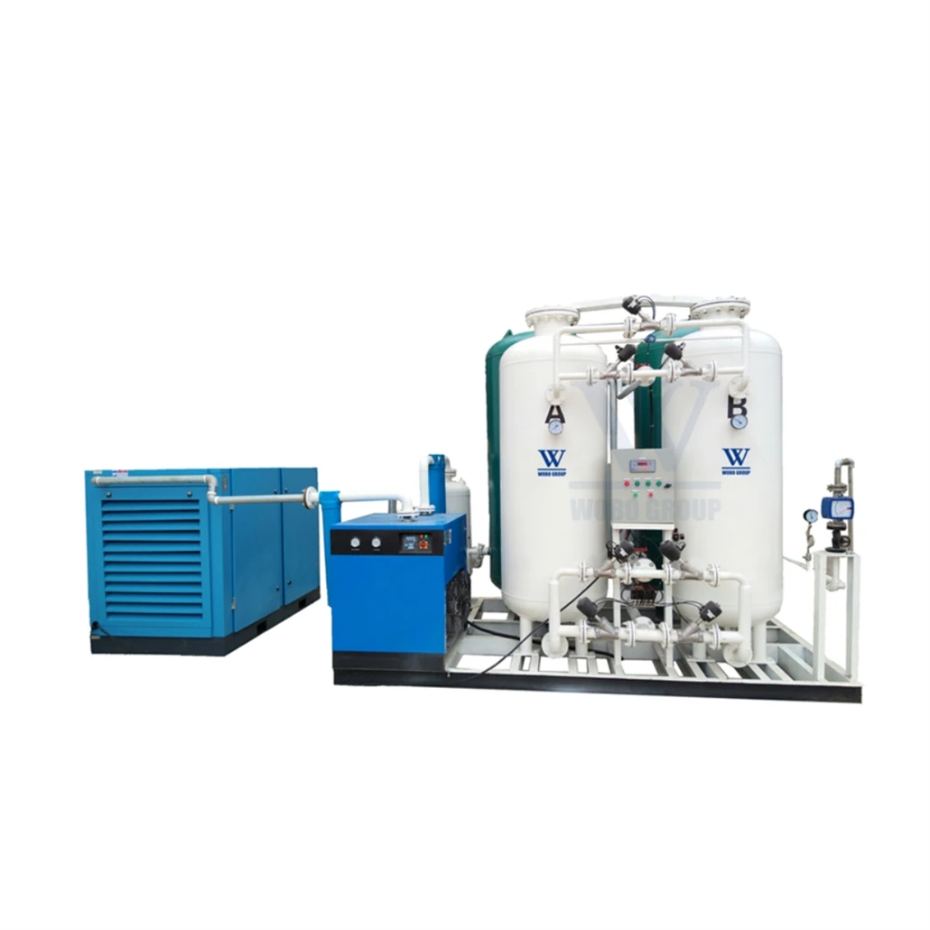 High Quality PSA Liquid Nitrogen Generator Laboratory Application 8L-2400L/Day Liquid Nitrogen Unit for Freezing