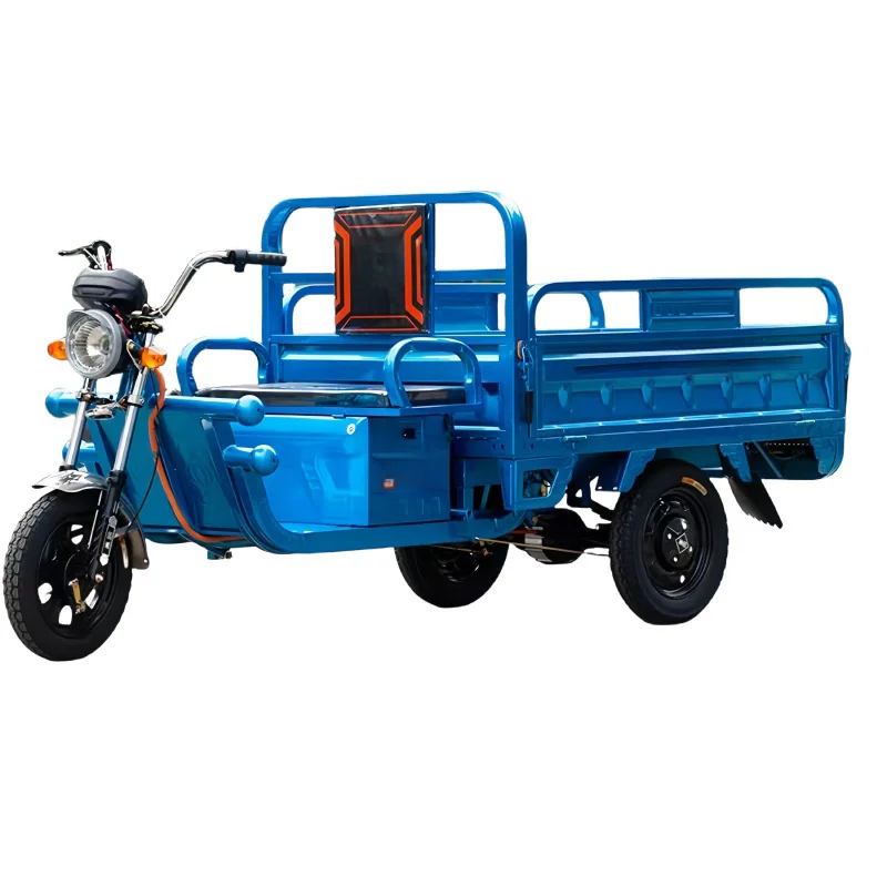 Electric Tricycles 2024 Most Three Wheel Electric Tricycle Sold for Cargo