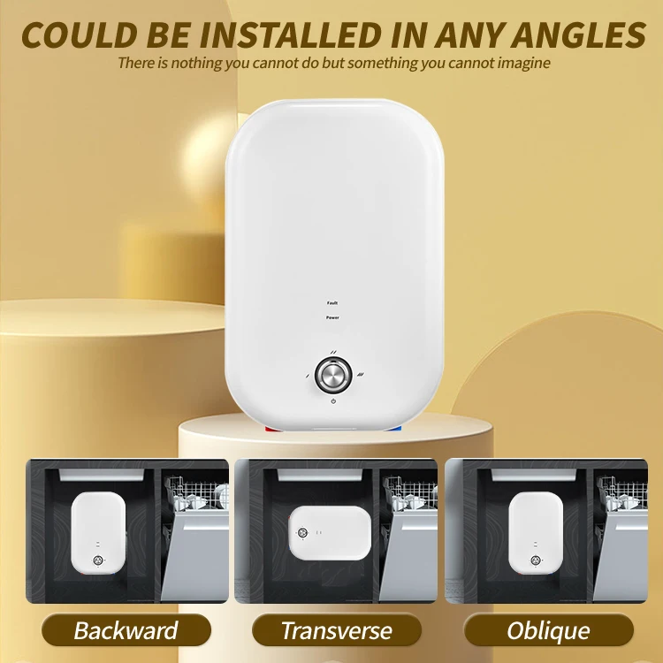 High Temperature Mini Bath Hot Water Heater Tankless Toilet Water Heater Plastic Electric 1 Piece Wall Mounted IPX4 D55 White