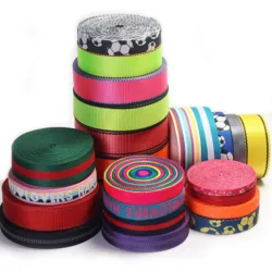 Garment And Luggage Use Polypropylene tape PP webbing