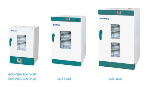 Biobase China best selling Vertical Type Forced Air Drying Oven With Large Scale Capacity
