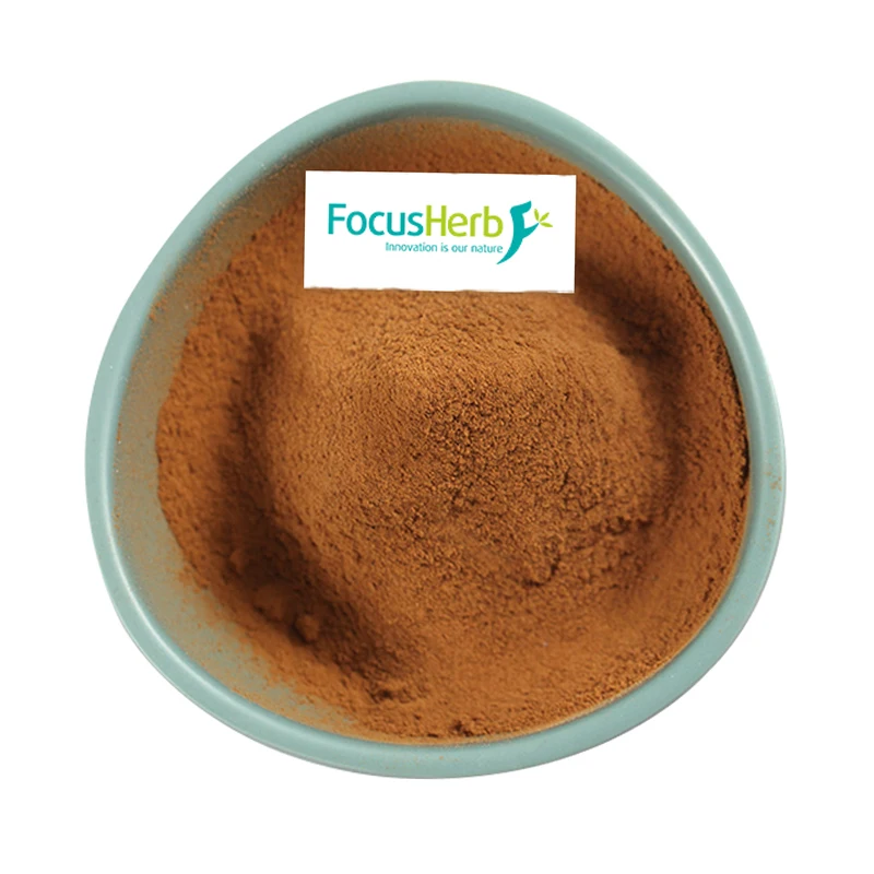 
FocusHerb pure ganoderma lucidum polysaccharide extract 