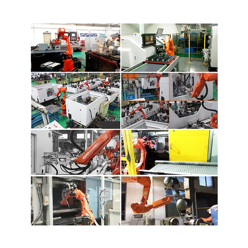 Factory Supply Tending Robot for Plastic Moulding Injection Machine