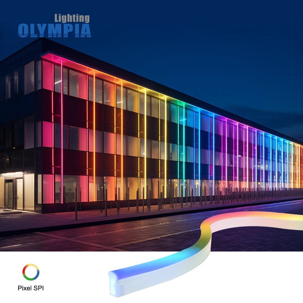 Neon Strip Light 24v Waterproof IP68 Pixel DMX 5050 Silicone/PVC Neon Flex Lighting 2700K-5000K RGBW Flexible LED Neon Lights