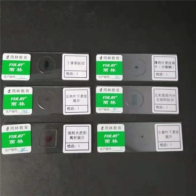 Laboratory Biology Preparation microscope slides are available in middle school laboratories with 50 slide sets