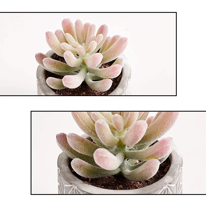 Primaison стекались Искусственные суккуленты небольших растений с декоративный искусственный пластмассовое растение для дома и прогулок; Модные тапочки для дома