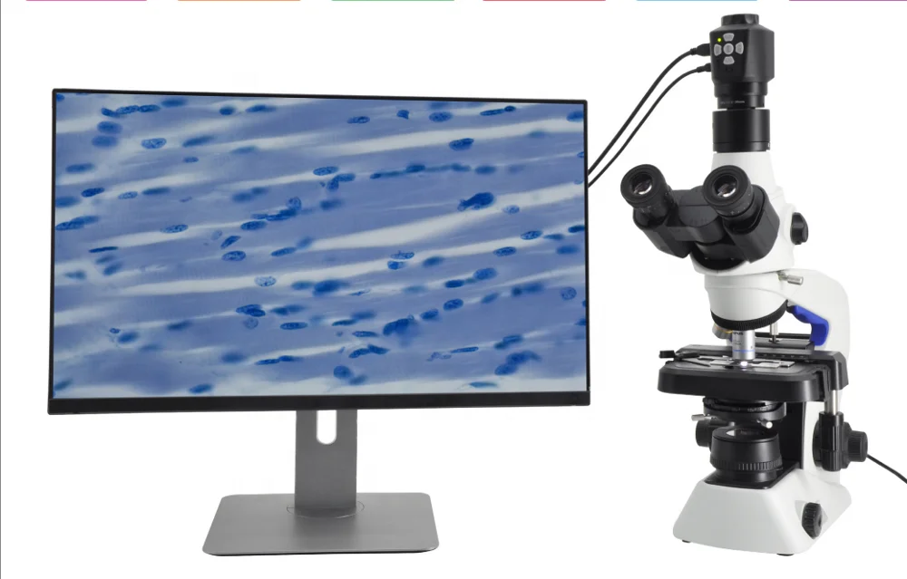 OPTO-EDU A59.4902 3.5M usb Digital microscope digital camera