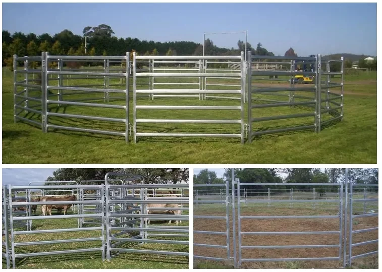 
Square pen/Oval pen/ Round pen cheap cattle corral panel sheep panels sheep yard panels 