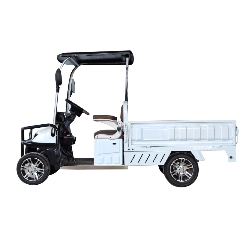 Golf Cart Electric Scooter Golf Cart 2 Seater With Cargo Box