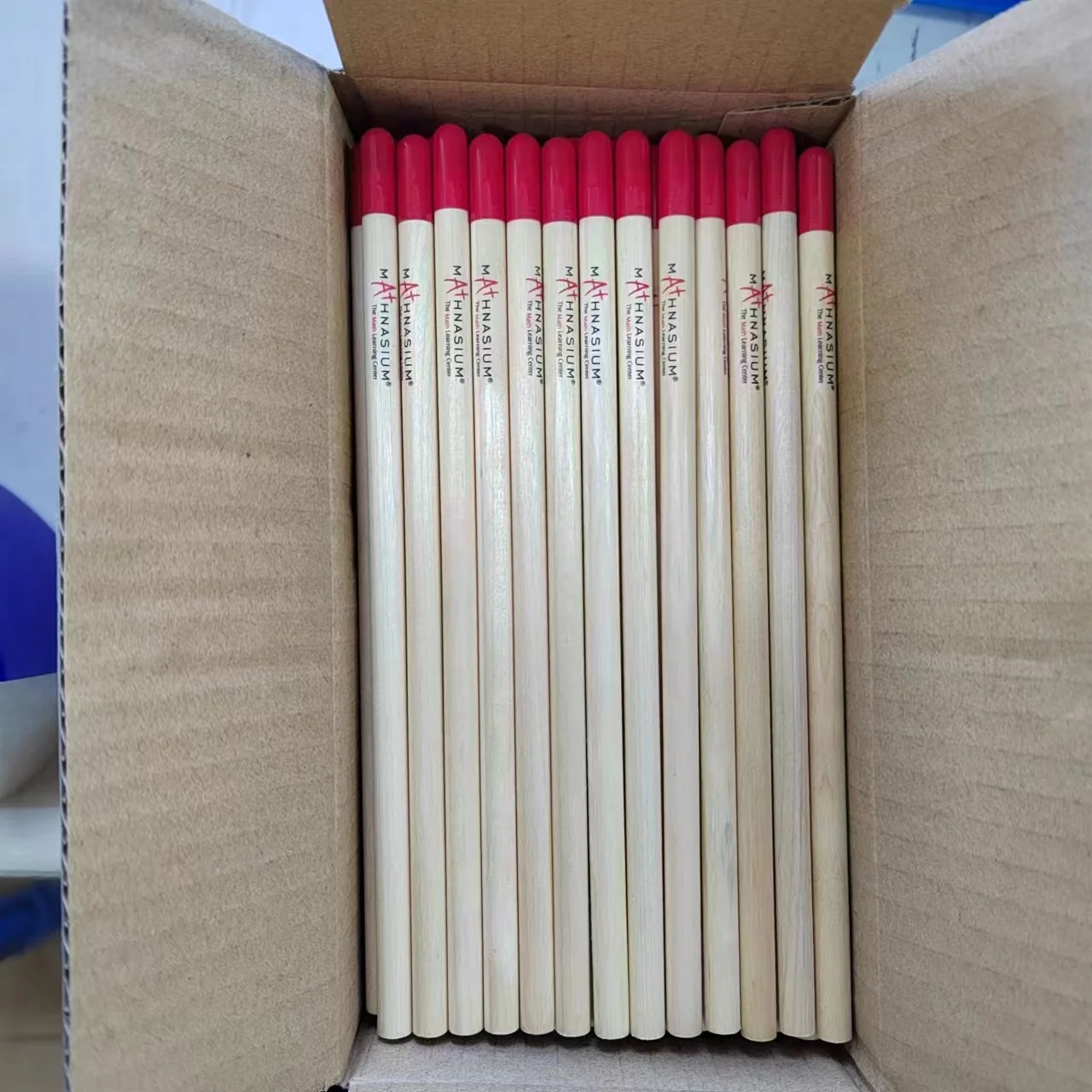 Customized Logo Pencil with Seed to Plant Seed Pencil for Kids