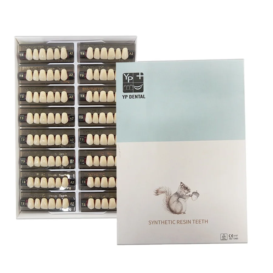 Dental Acrylic Resin Teeth Denture Teeth Artificial Teeth False Tooth