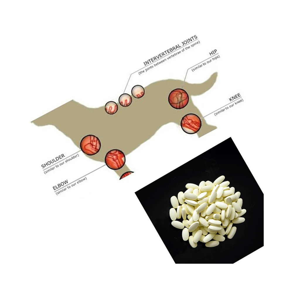 Корм для собак