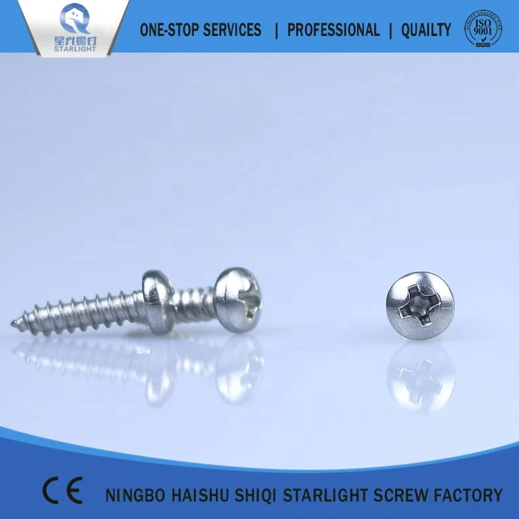 DIN 7981 Cross recessed pan head self drilling tapping screw and nut customize (304 Stainless steel)