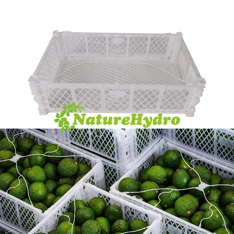 Vegetable Fruits Collapsible Shipping Crates Plastic Packing Basket Avocado Foldable Basket