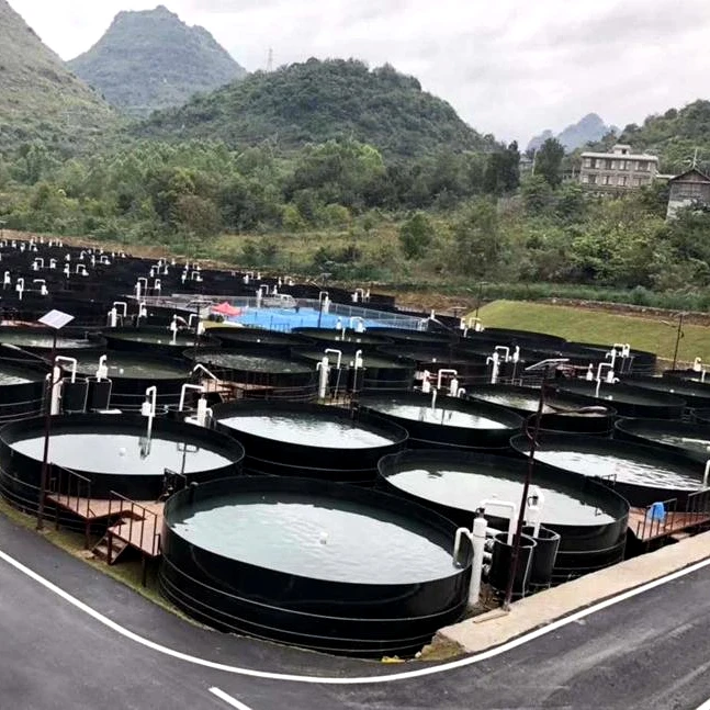 Geomembrane HDPE Liner Geomembrane 100% Virgin Material For Fish Farming Tank Shrimp Circular Pools